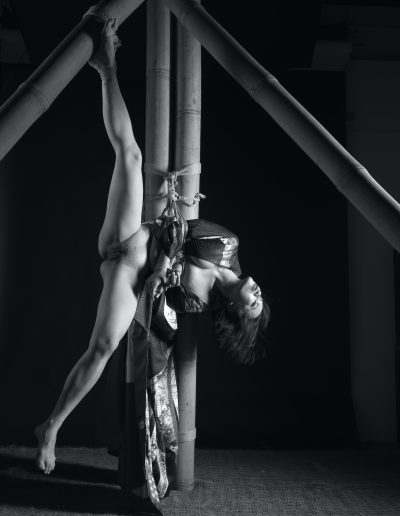 William-Grant-Davis-Shibari__6291